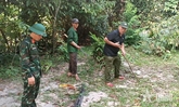 Còn sức khỏe, còn đi tìm đồng đội